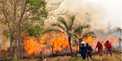 FELCODE destina 24.000 € a combatir los incendios que asolan la Chiquitanía boliviana