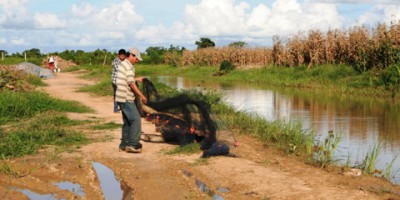 Asistencias técnicas para la implementación de buenas prácticas a nivel municipal en América latina