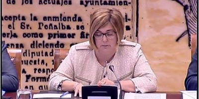 Charo Cordero comparece en la Comisión de Cooperación Internacional para el Desarrollo del Senado.